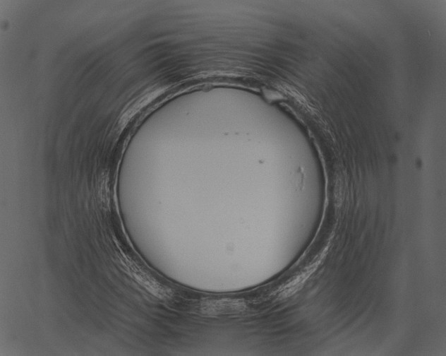 X0000062621113200601111027