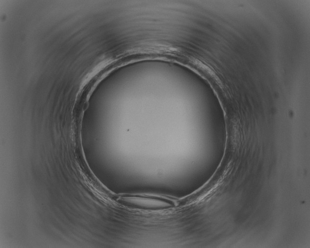 X0000062621114200601111027