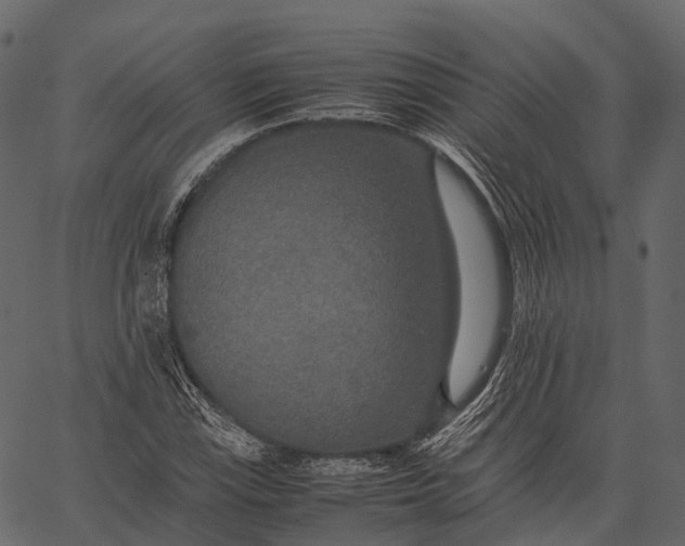 X0000062621115200601111027