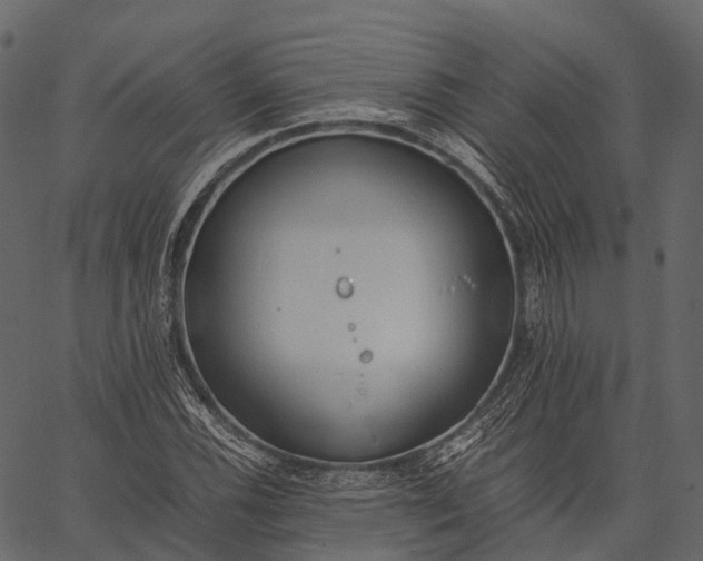 X0000062621116200601111027