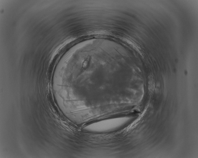 X0000062621117200601111027