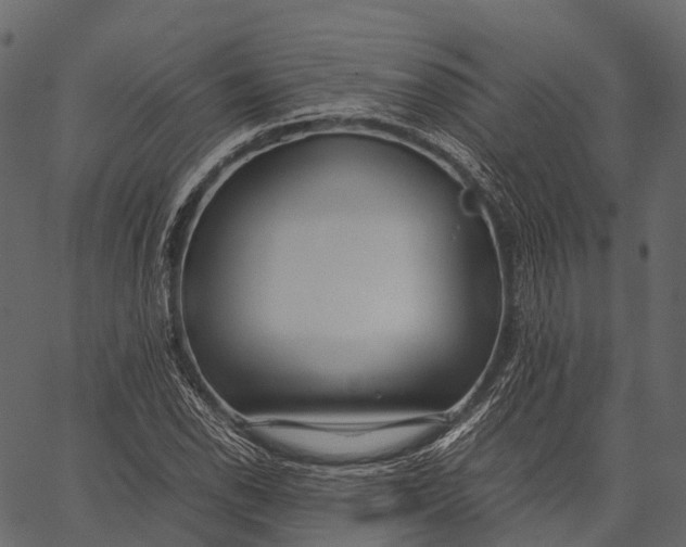 X0000062621118200601111027