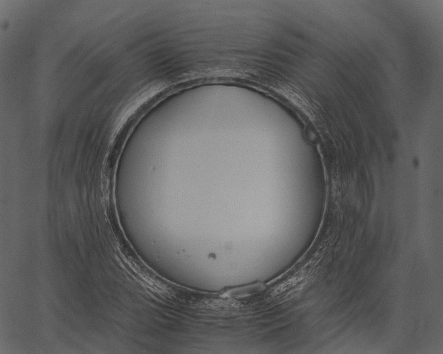 X0000062621119200601111027