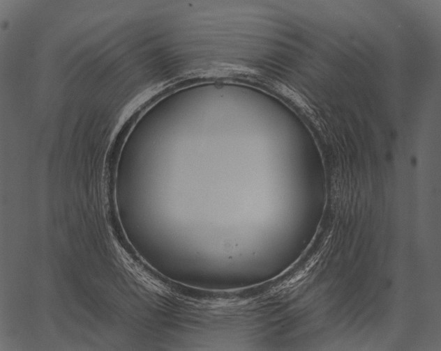 X0000062621122200601111027