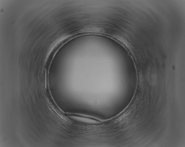 X0000062621123200601111027