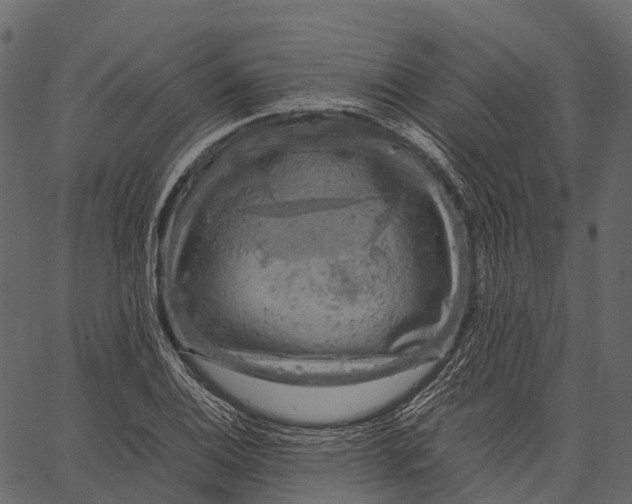 X0000062621124200601111027