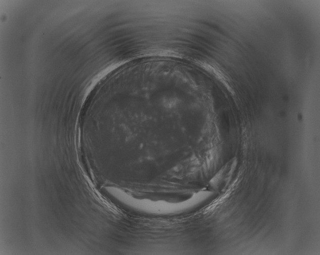 X0000062621125200601111027