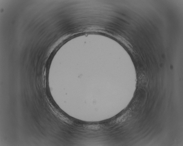 X0000062621126200601111027