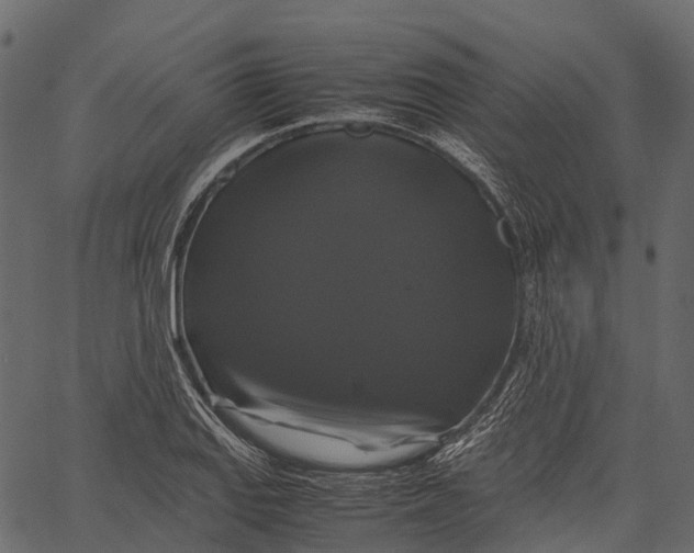 X0000062621127200601111027