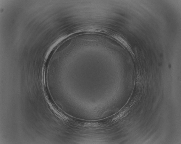 X0000062621128200601111027