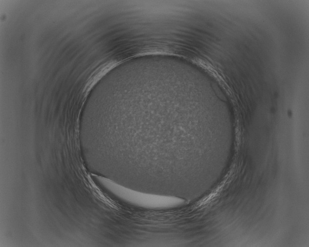 X0000062621129200601111027