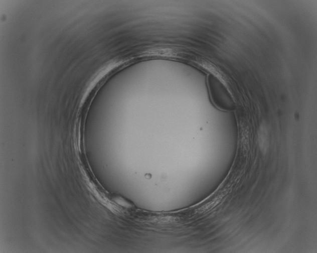 X0000062621131200601111027