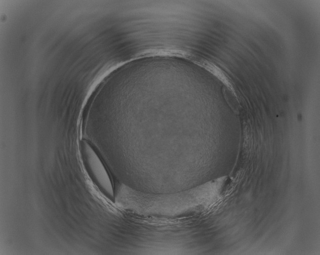 X0000062621132200601111027