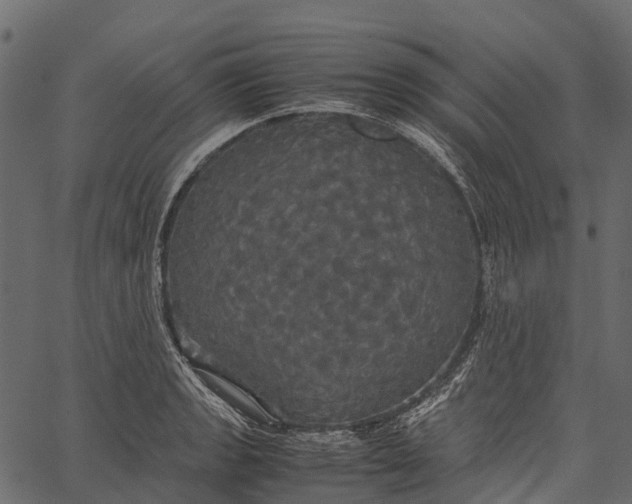 X0000062621133200601111027