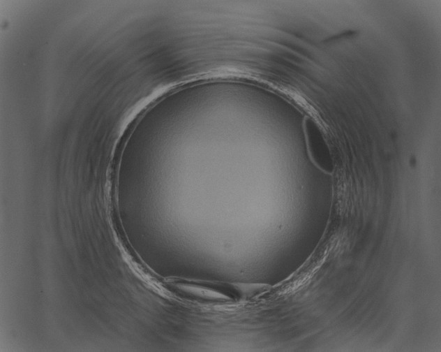 X0000062621134200601111027