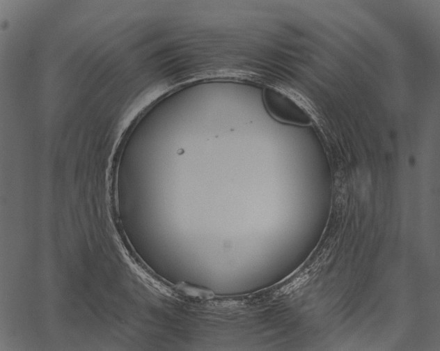 X0000062621135200601111027