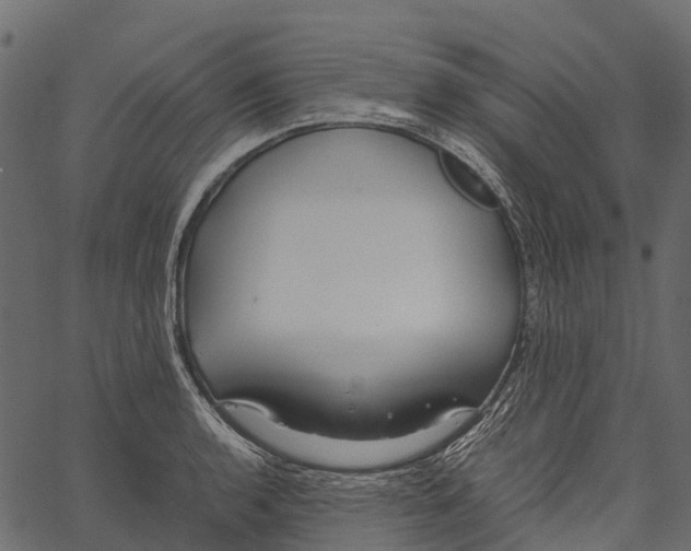 X0000062621136200601111027