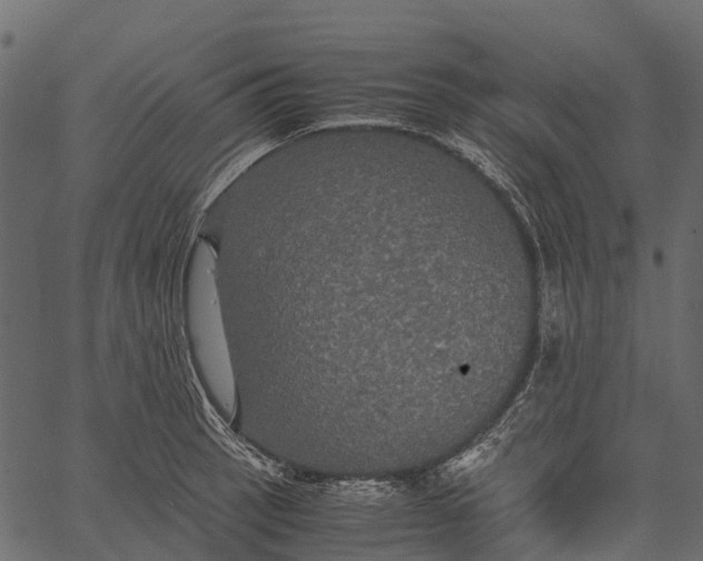 X0000062621137200601111027