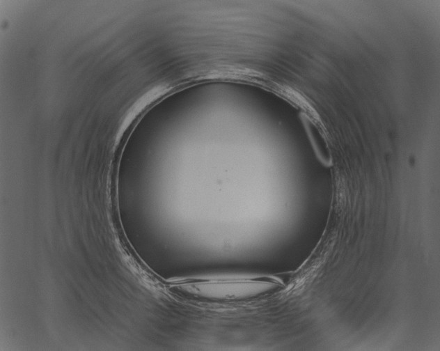 X0000062621138200601111027