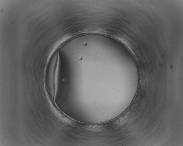 X0000062621139200601111027