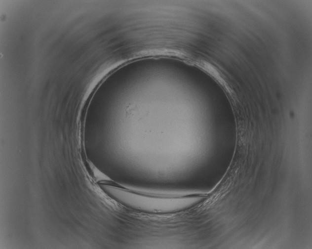 X0000062621140200601111027