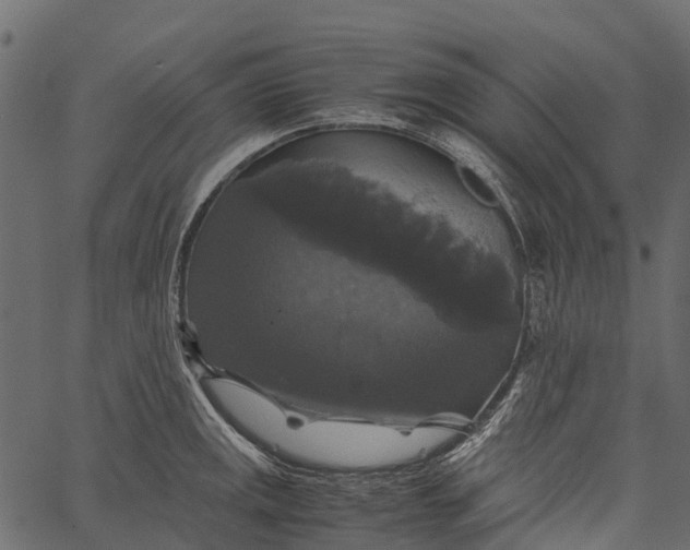 X0000062621141200601111027