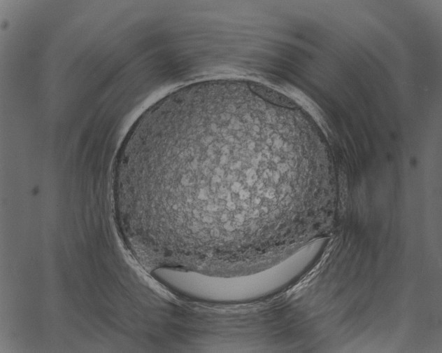 X0000062621142200601111027