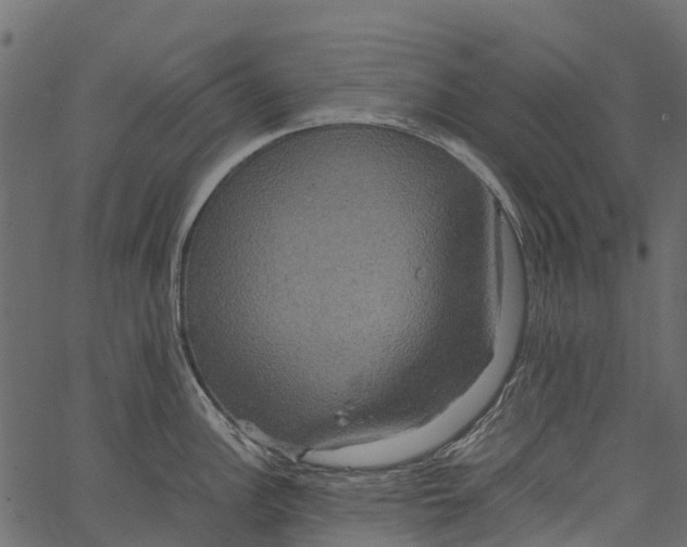 X0000062621148200601111027