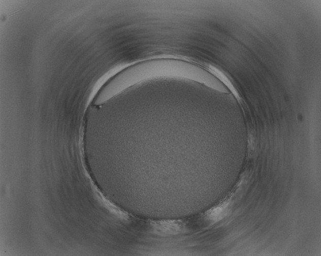 X0000062621149200601111027