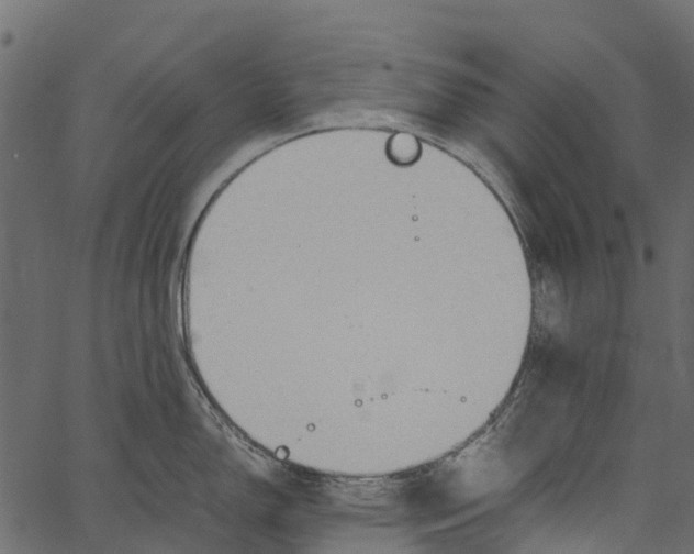 X0000062621150200601111027