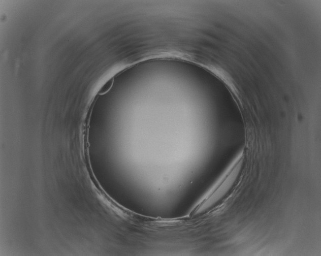 X0000062621151200601111028