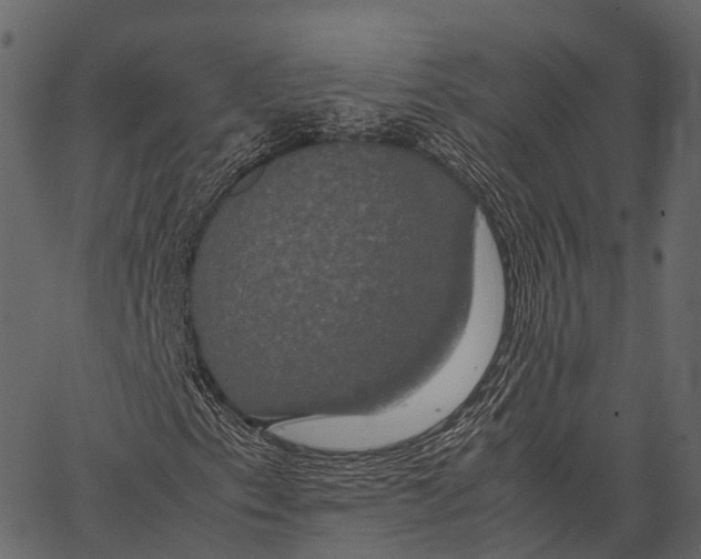 X0000062621153200601111027