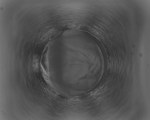 X0000062621154200601111027