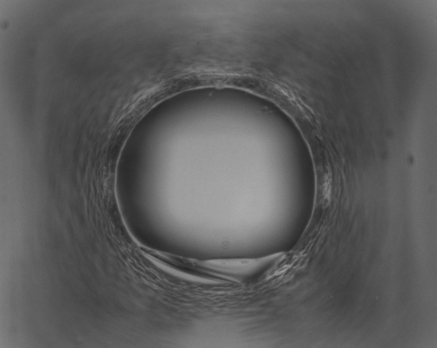 X0000062621157200601111027