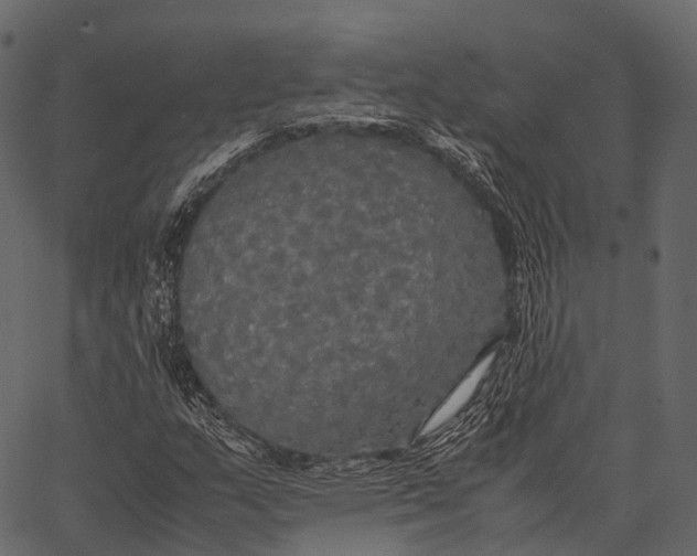 X0000062621159200601111027