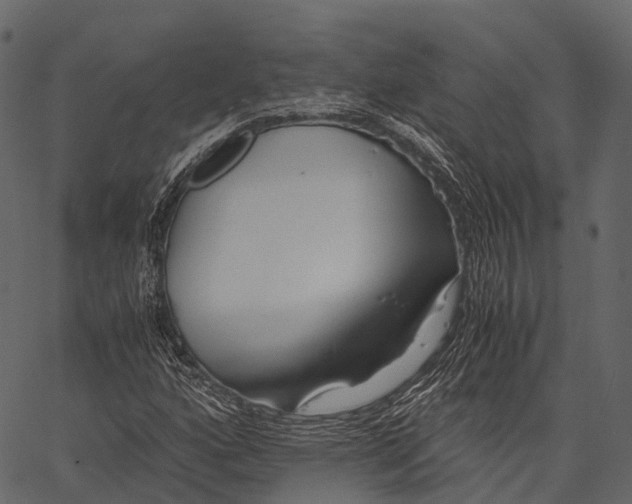 X0000062621160200601111027