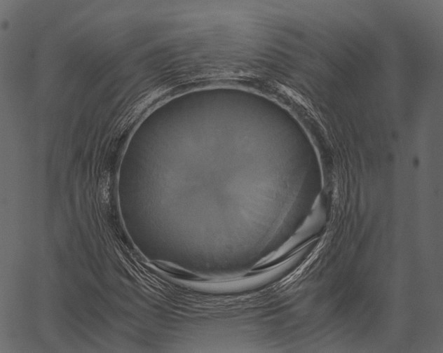 X0000062621161200601111027