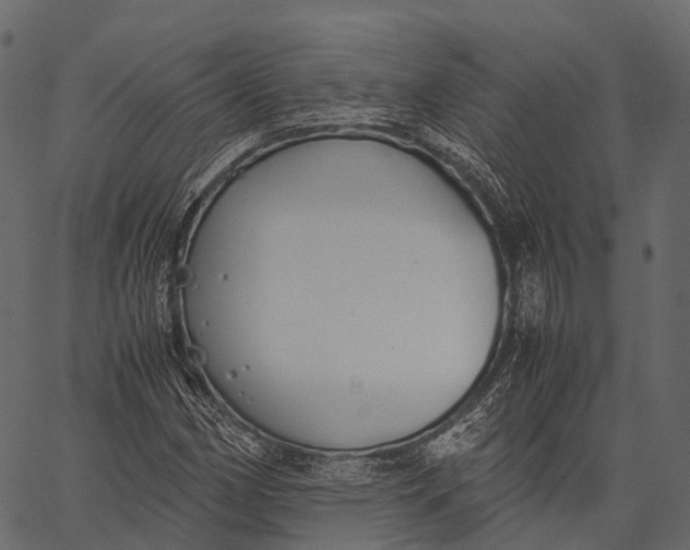 X0000062621162200601111027