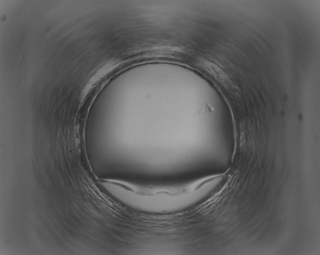 X0000062621164200601111027