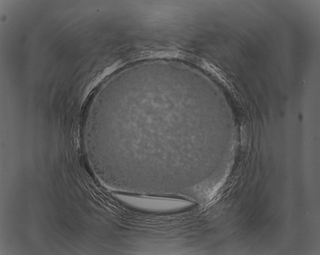 X0000062621165200601111027