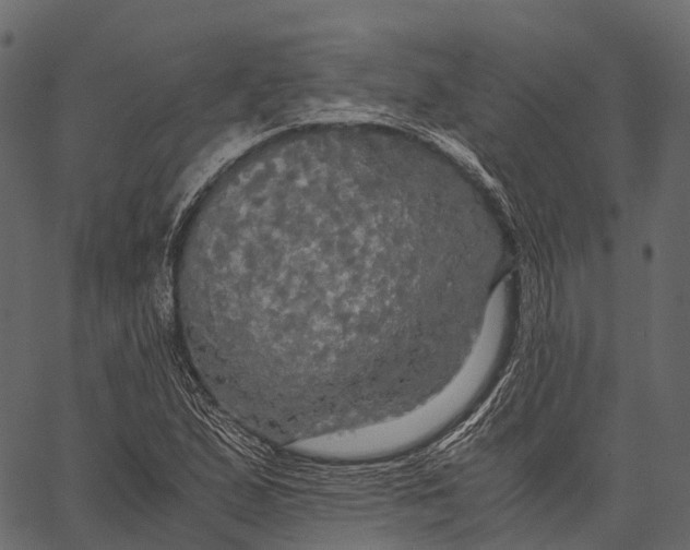 X0000062621167200601111026