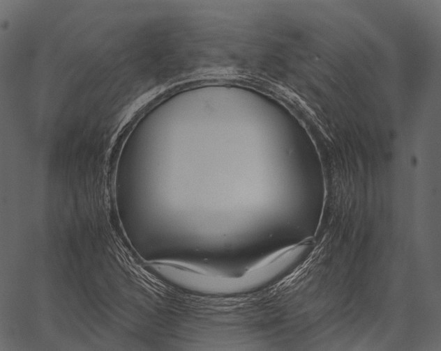 X0000062621168200601111026