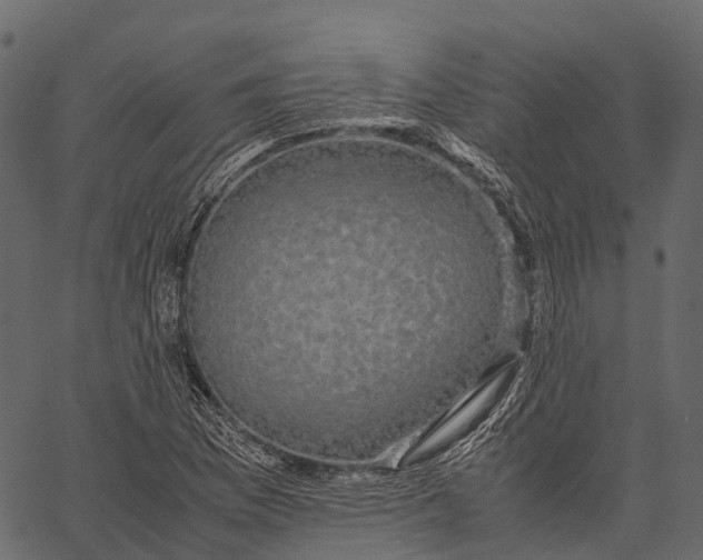 X0000062621169200601111026