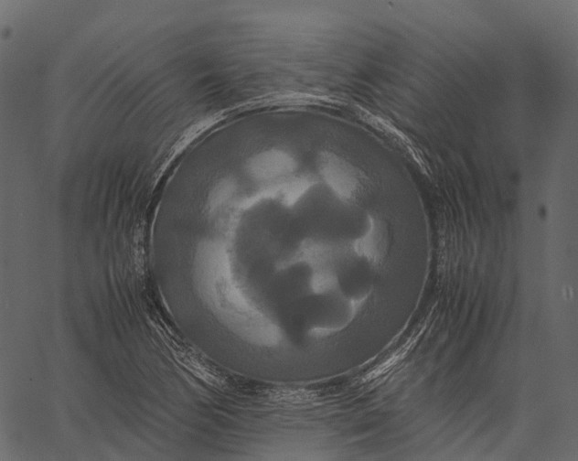 X0000062621170200601111026