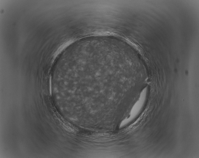 X0000062621171200601111026