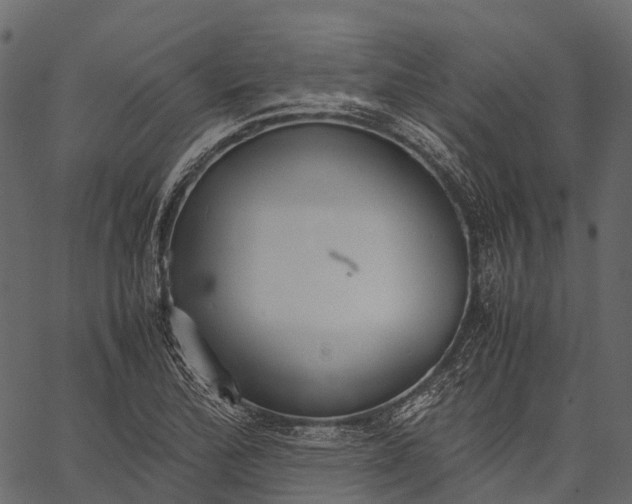 X0000062621172200601111026