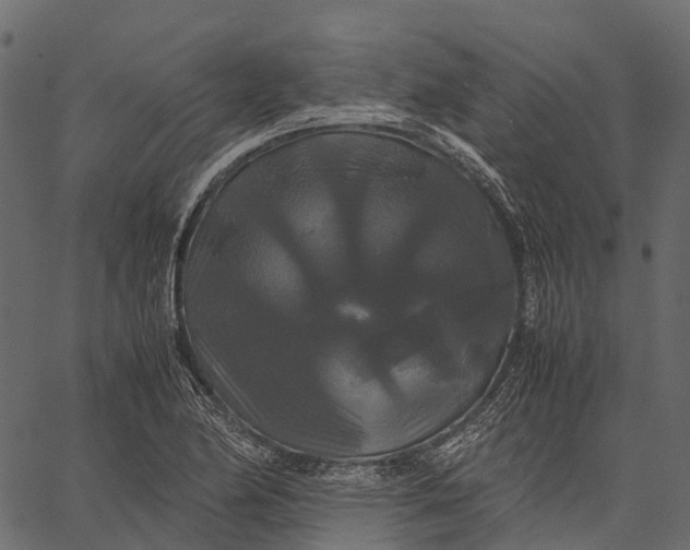 X0000062621174200601111026