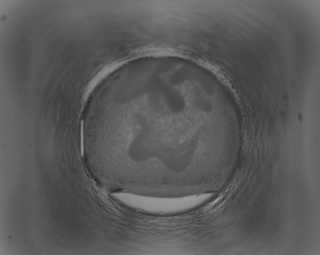 X0000062621175200601111026