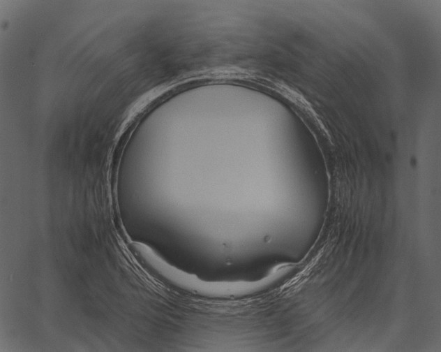 X0000062621176200601111026