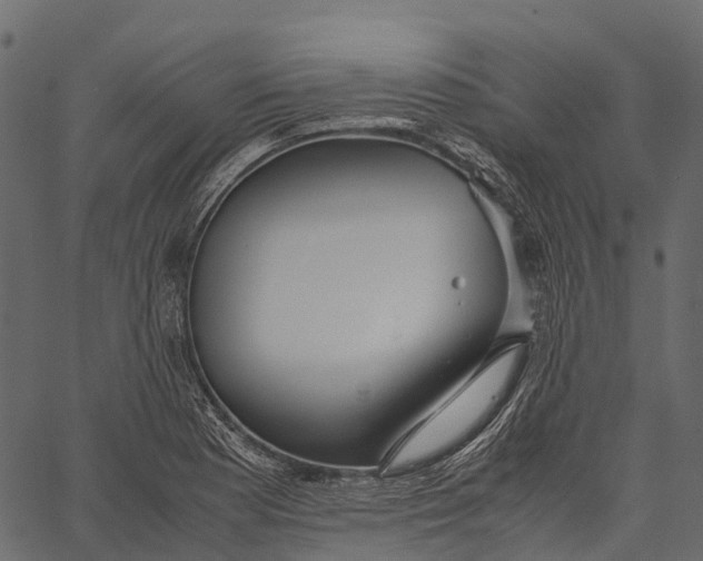 X0000062621177200601111026